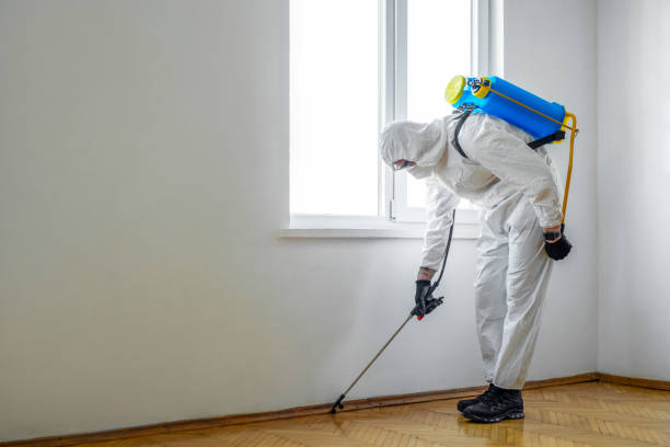 Best Exterminator Services  in Crab Orchard, WV