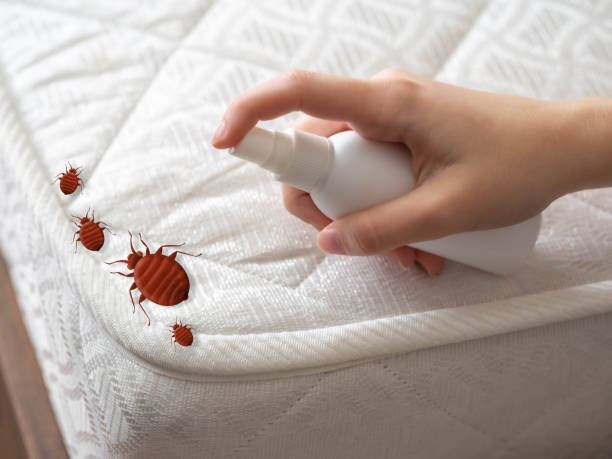 Best Best Pest Control Companies  in Crab Orchard, WV